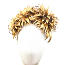  Chrysanthemum Gold