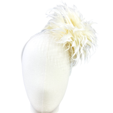 Chrysanthemum Ivory