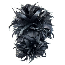 Chrysanthemum Black Comb