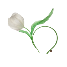 Tulip White