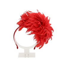  Chrysanthemum Red Big