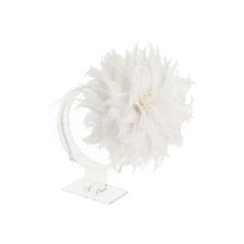 Chrysanthemum Snow White