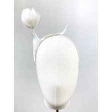 Tulip Ivory
