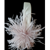 PhotoRoom-20221006_130224.png