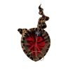 Photoroom-20250126_170005.png