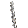 PhotoRoom-20221128_185848.png