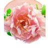 PhotoRoom-20230814_151004.png