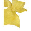 Photoroom-20240607_134351.png