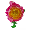 Photoroom-20240628_153346.png