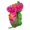 Photoroom-20240628_154017.png
