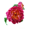 Photoroom-20240628_154039.png