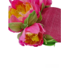 Photoroom-20240628_154454.png