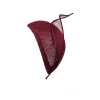 Photoroom-20240728_135155.png