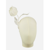 Photoroom-20240919_201427.png